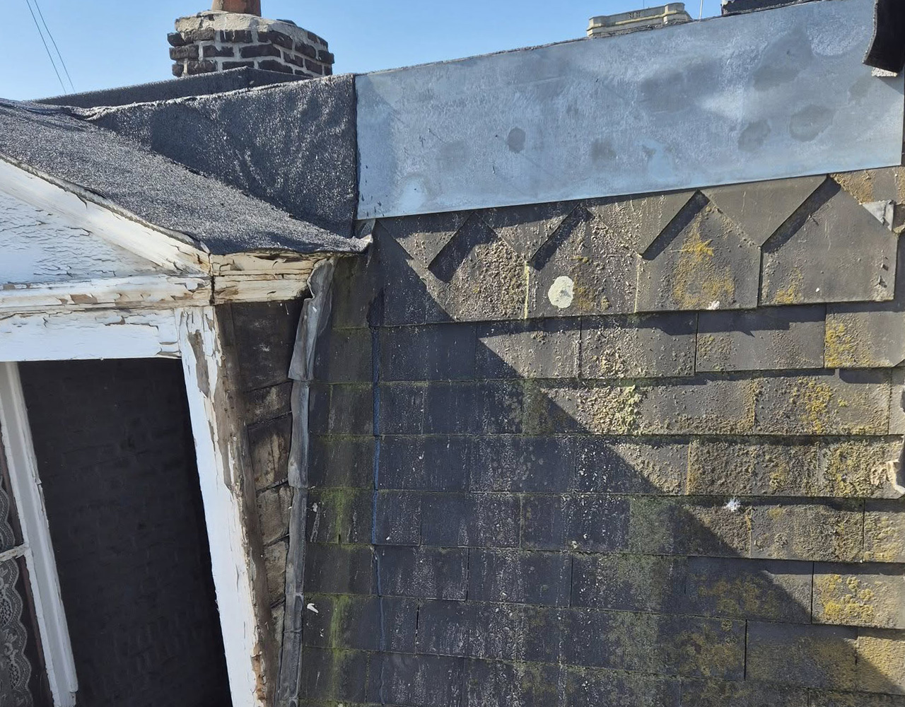 denice-toiture-2before